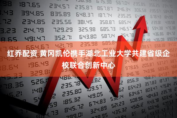 红乔配资 黄冈凯伦携手湖北工业大学共建省级企校联合创新中心