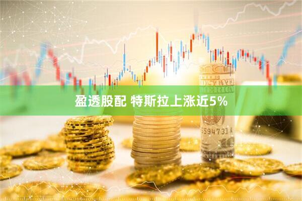 盈透股配 特斯拉上涨近5%